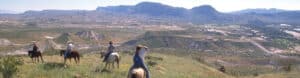 Visit Big Bend