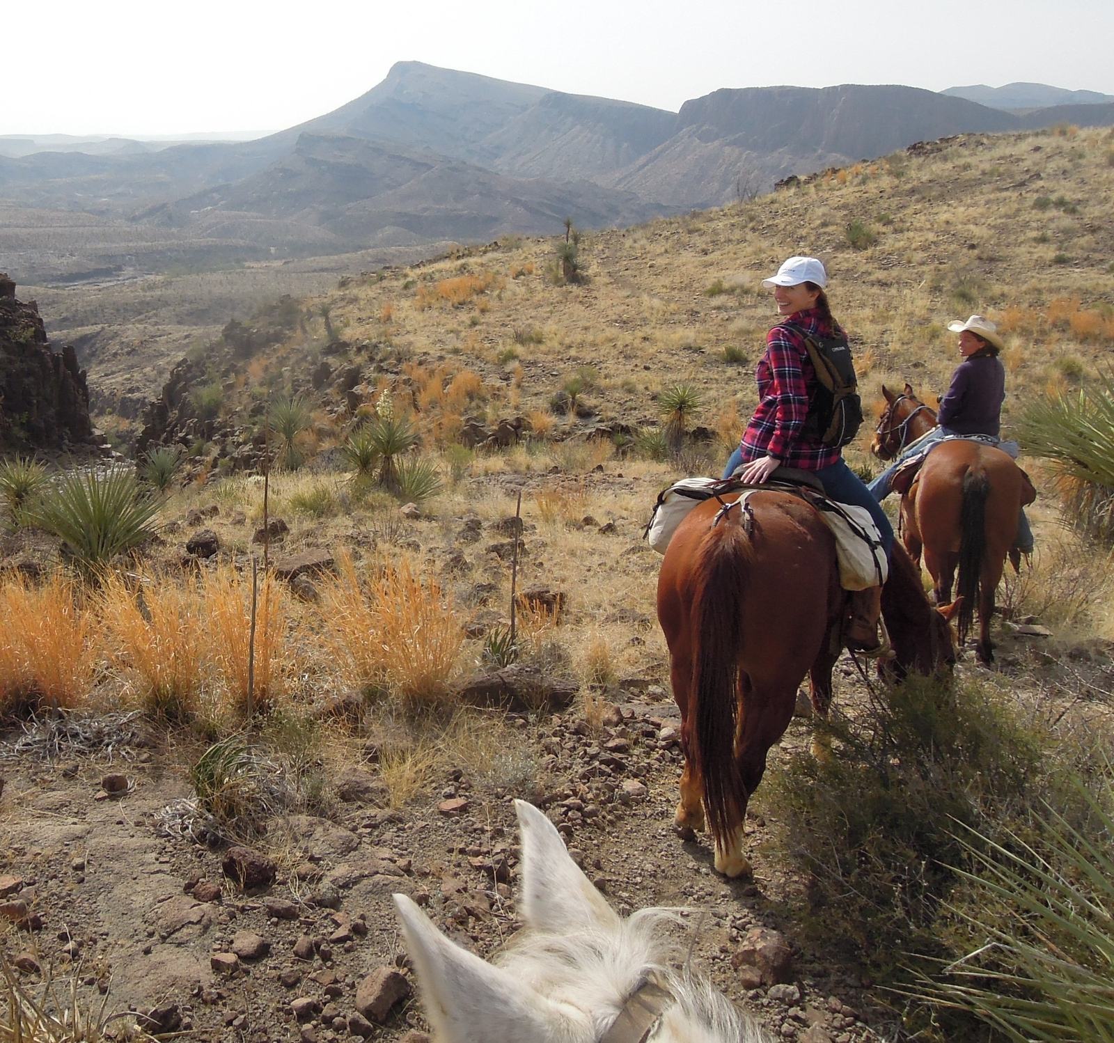 Horseback Riding