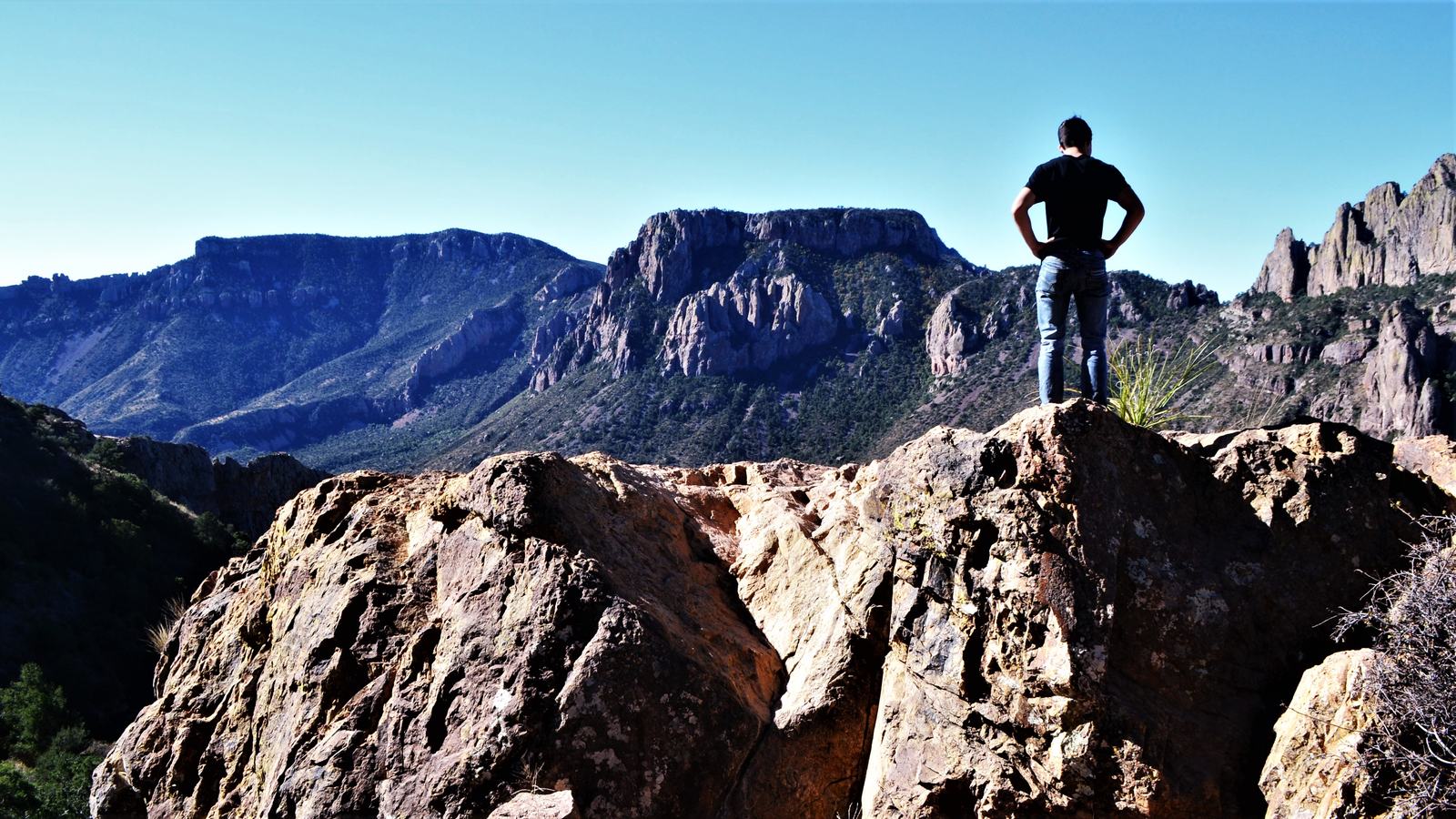 The Lost Mine Trail Experience: Low Barrier To Entry, High Pay Out