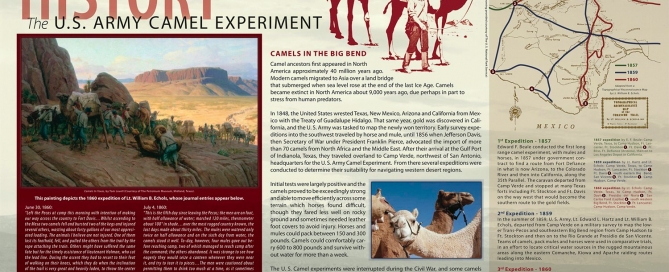 US Army Camel Experiment