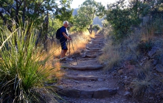 Chisos Basin Pinnacles Trail