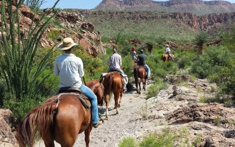 Big Bend Lajitas Stables 768x480